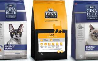 Корм для кошек Gina Elite: отзывы, разбор состава, цена