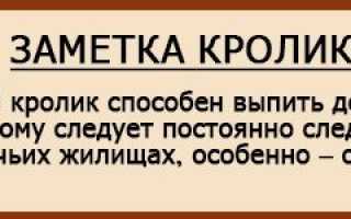 Промышленные клетки для содержания и выращивания кроликов