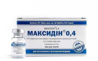 Распухла морда у кота – 7 причин возникновения опасного симптома