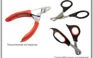 Как самостоятельно подстричь когти коту в домашних условиях